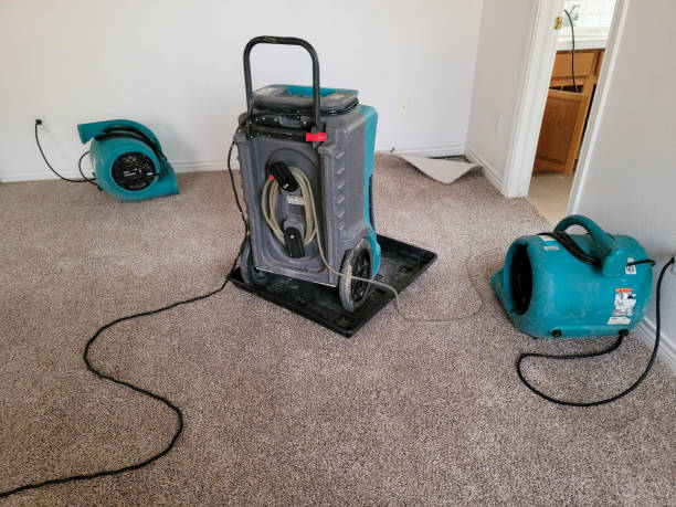 Best Flood damage cleanup  in Pleasant Hill, PA