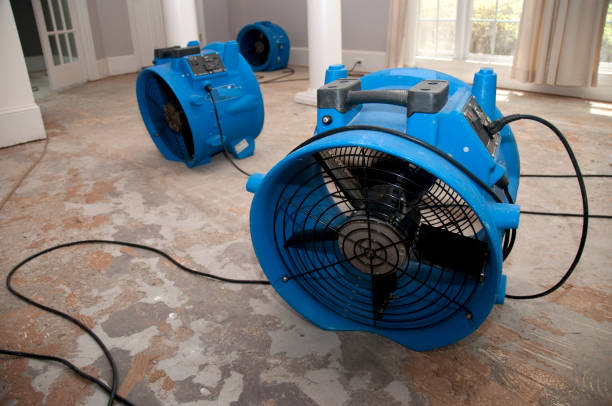 Best Residential water damage restoration  in Pleasant Hill, PA