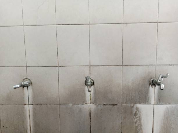 Best Flood damage cleanup  in Pleasant Hill, PA