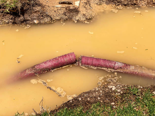 Best Water damage restoration services  in Pleasant Hill, PA