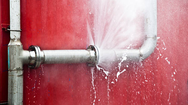 Best Professional water damage repair  in Pleasant Hill, PA
